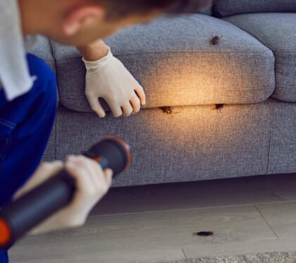Man,,Professional,Pest,Control,Worker,Examining,A,Sofa,In,The
