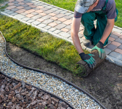 Landscape,Gardener,Laying,Turf,For,New,Lawn