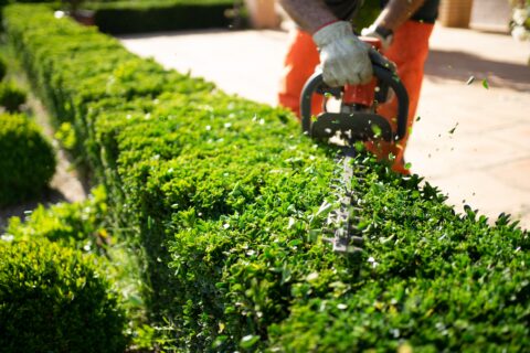 Landscape Service